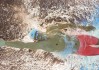 国际拳击青少年训练营导师评选与公示结果，国际拳击大赛